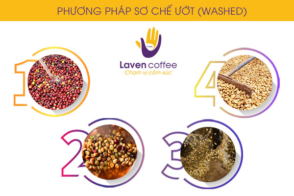 Phương pháp sơ chế cà phê sỉ Biên Hòa, Đồng Nai